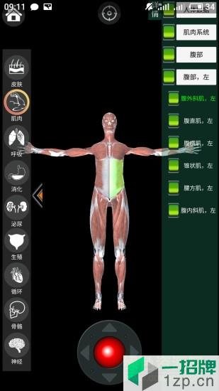 虛擬現實人體解剖軟件