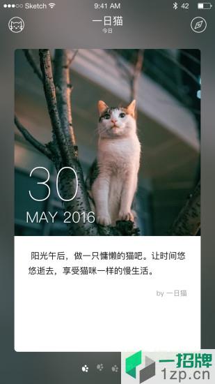 一日猫手机客户端app下载_一日猫手机客户端app最新版免费下载