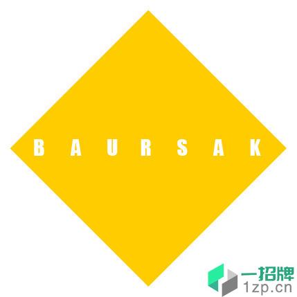 baursak手机版软件app下载_baursak手机版软件app最新版免费下载