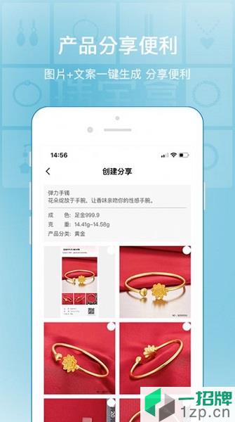 珠宝盒app下载_珠宝盒手机软件app下载