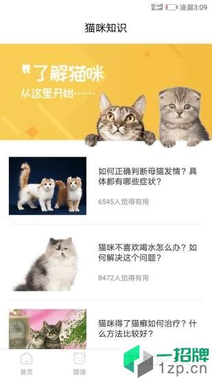 猫咪翻译器app