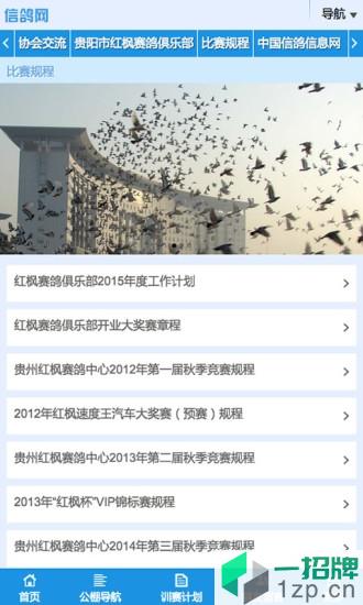 甘肃信鸽网app