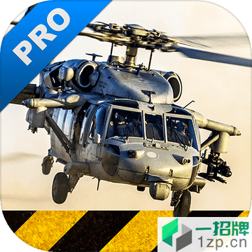 直升机模拟专业版汉化版(HelicopterSimPro)v1.1安卓版