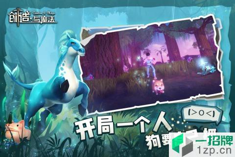 创造与魔法oppo客户端下载_创造与魔法oppo客户端手机游戏下载