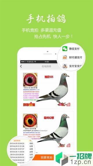 中國信鴿信息網app