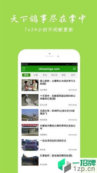 中国信鸽信息网appapp下载_中国信鸽信息网app手机软件app下载