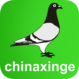 中国信鸽信息网appapp下载_中国信鸽信息网app手机软件app下载