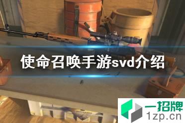 《使命召唤手游》svd怎么样 狙击步枪svd原型介绍怎么玩?