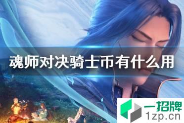 《斗罗大陆魂师对决》骑士