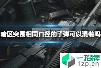 《暗区突围》相同口径的子