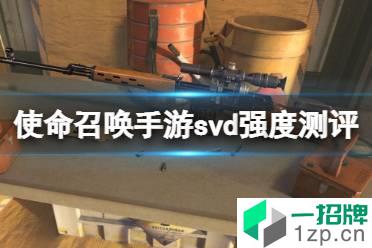 《使命召唤手游》svd强度测评 狙击枪svd强度怎么样怎么玩?