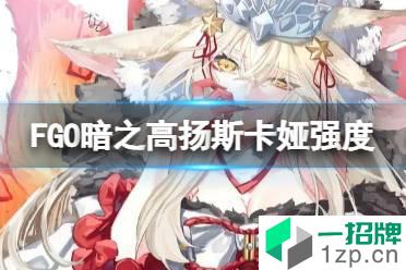 《FGO》暗之高扬斯卡娅强度 暗狐节奏榜初评级