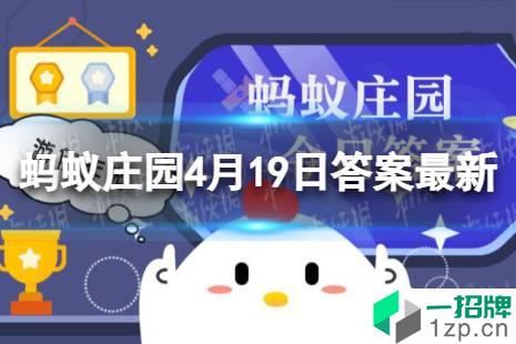 干木耳为什么比鲜木耳健康 蚂蚁庄园4月19日答案最新