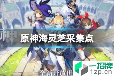 《原神》2.7海灵芝采集点 2.7海灵芝采集路线