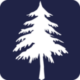 单词树app安卓版下载_单词树app安卓软件应用下载