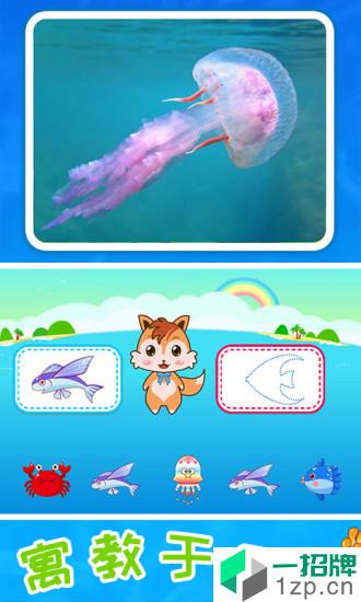 儿童宝宝海洋世界app安卓版下载_儿童宝宝海洋世界app安卓软件应用下载