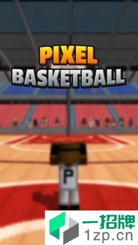 像素篮球手游下载_像素篮球手游最新版免费下载