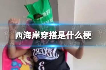 西海岸穿搭是什么梗 西海岸穿搭是什么意思怎么玩?