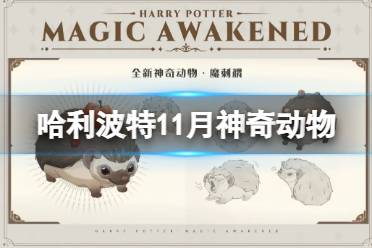 哈利波特魔法觉醒11月神奇动物 哈利波特魔法觉醒魔刺猬一览怎么玩?