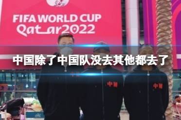 中国除了中国队没去其他都去了 中国队去世界杯了吗怎么玩?