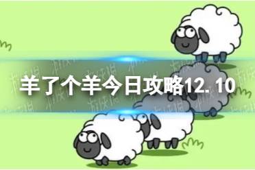 羊了个羊12月10日攻略 游戏攻略12月10日怎么玩?